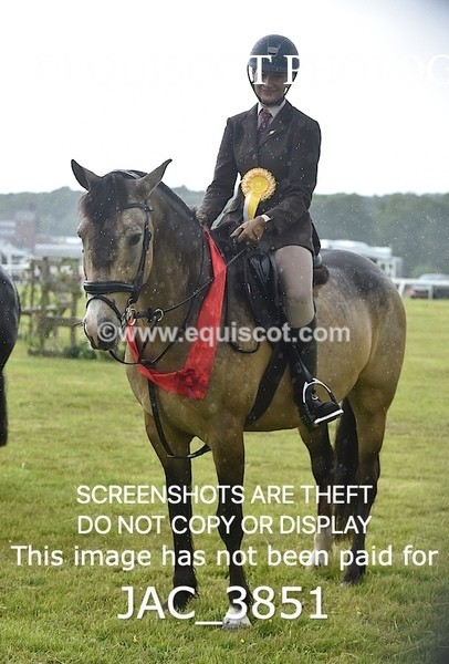 JAC_3851 - 65cm WORKING HUNTER