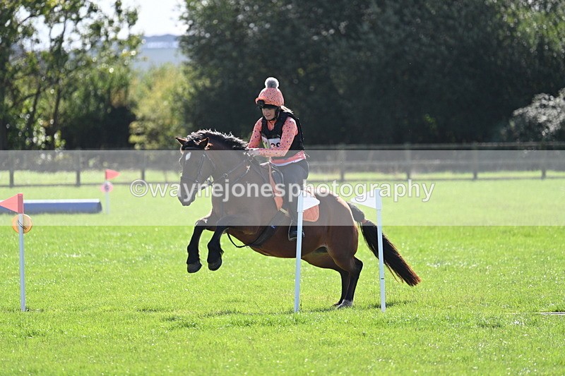 WJ7_1271 - Time 13:56 to 14:24