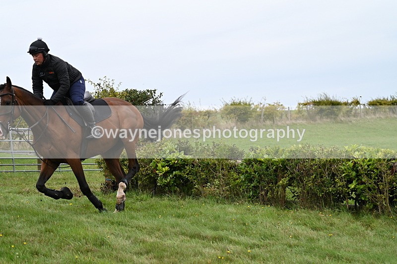 WJ7_8415 - Time 12:00 to 12:21