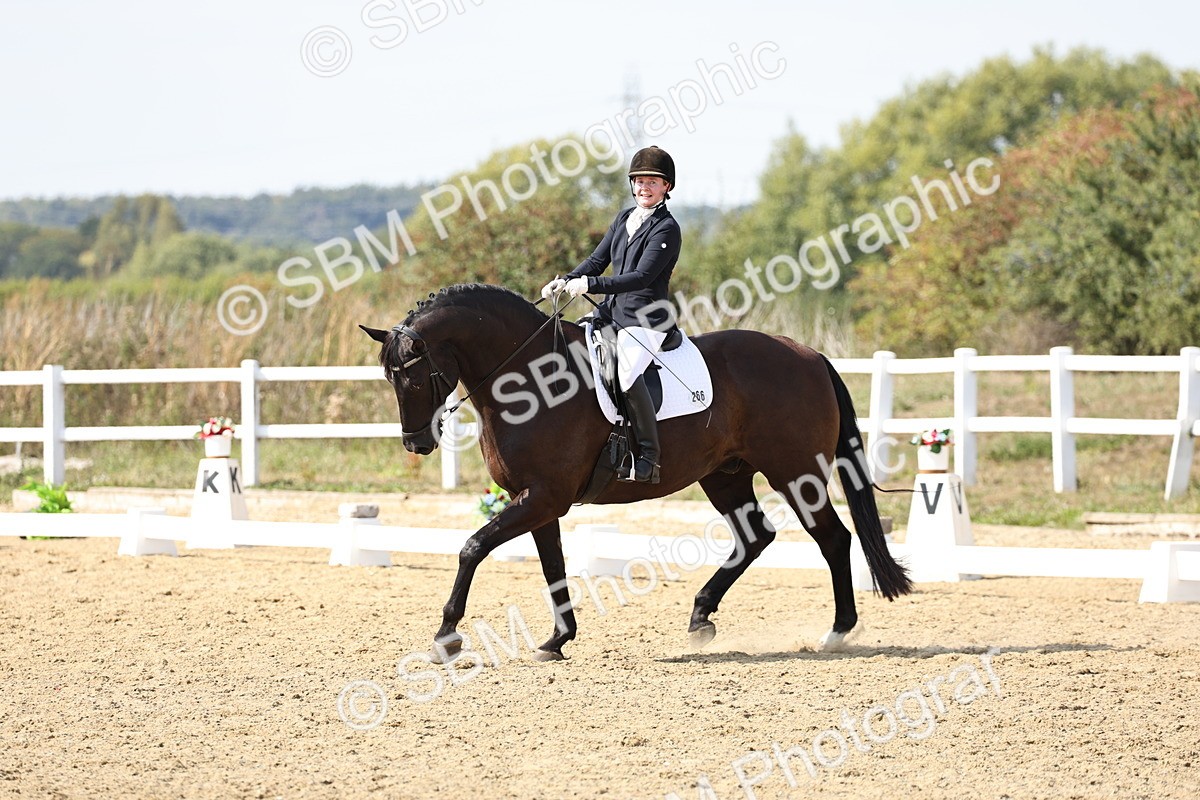 SBM_014881 - Class 7 - Medium 3