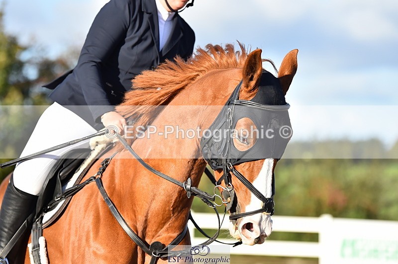 231014A-093712-03739 - Cls 12 British Novice & 90cm Open