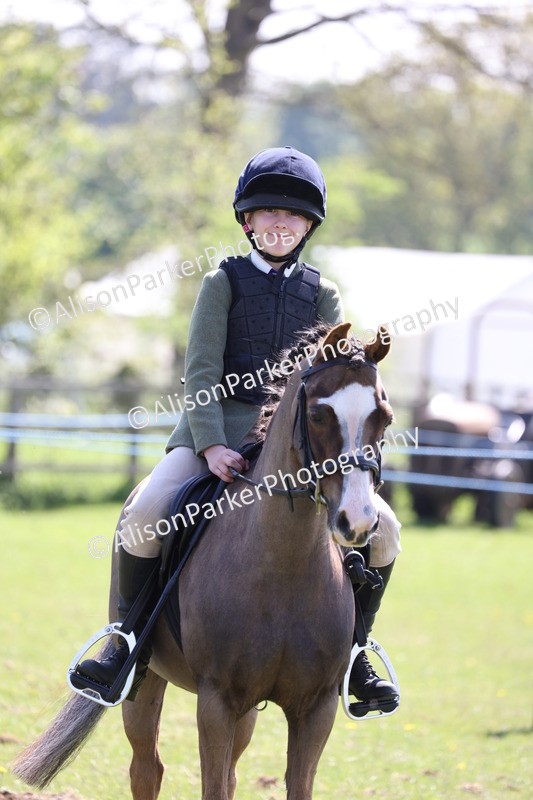 20250427-3283 - Class 33 - Best Pony 14.2hh and Under