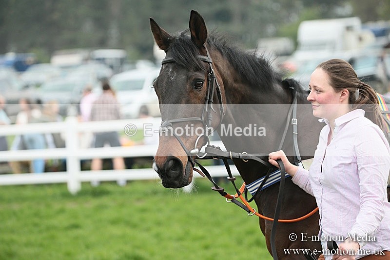 PtP 210418 154 - South & West Wilts Point-to-Point Larkhill 21/04/18