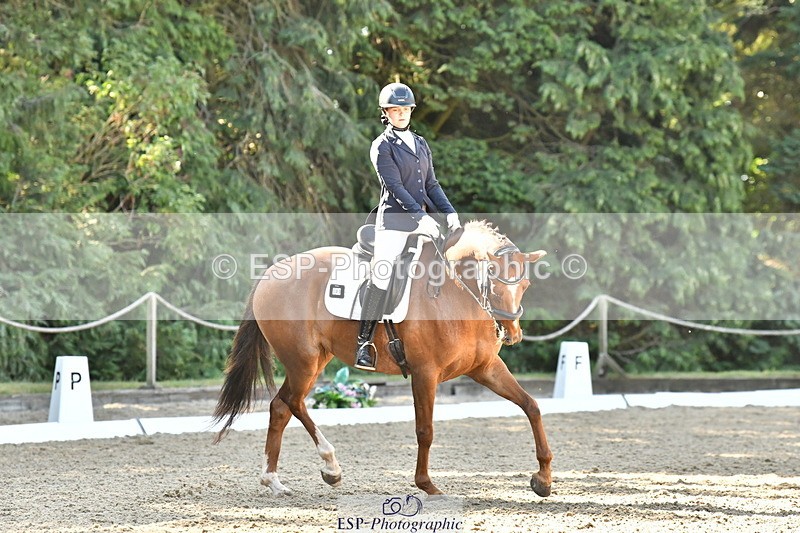260801A-094527-02676 - Prelim Bronze Start - 11.35