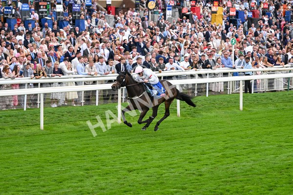 230825-Race 4-Ethical Diamond-0587 - Race 4 3.35pm Sky Bet Ebor Handicap