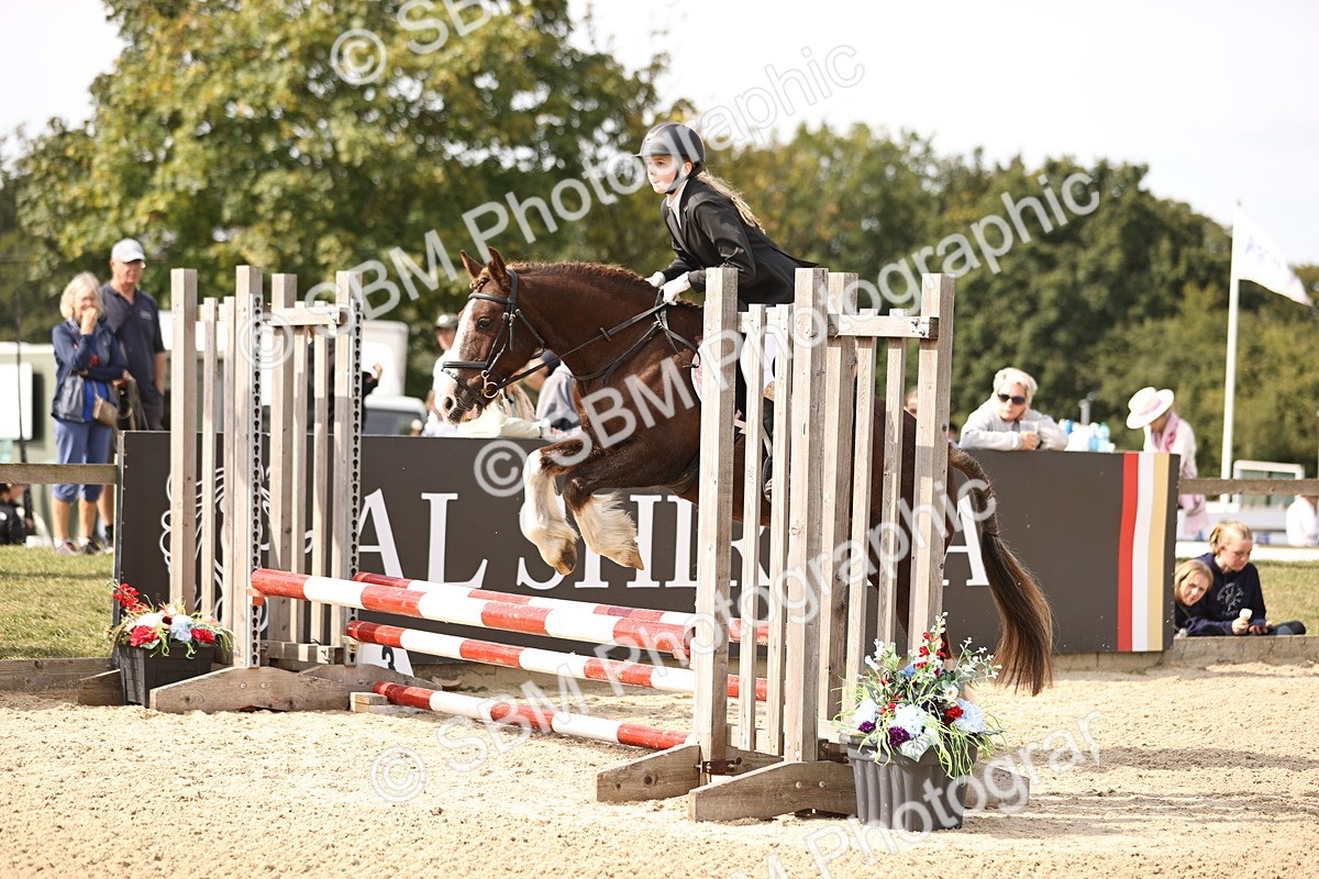 SBM_66871 - J13 - Junior Pony 60cm Championship