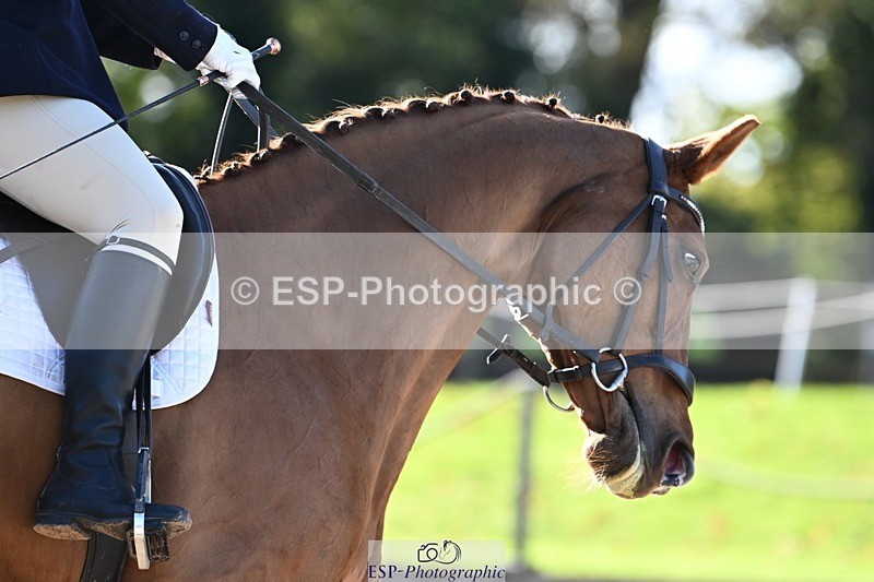 231110-122030-00657 - Cls 3 Novice 22