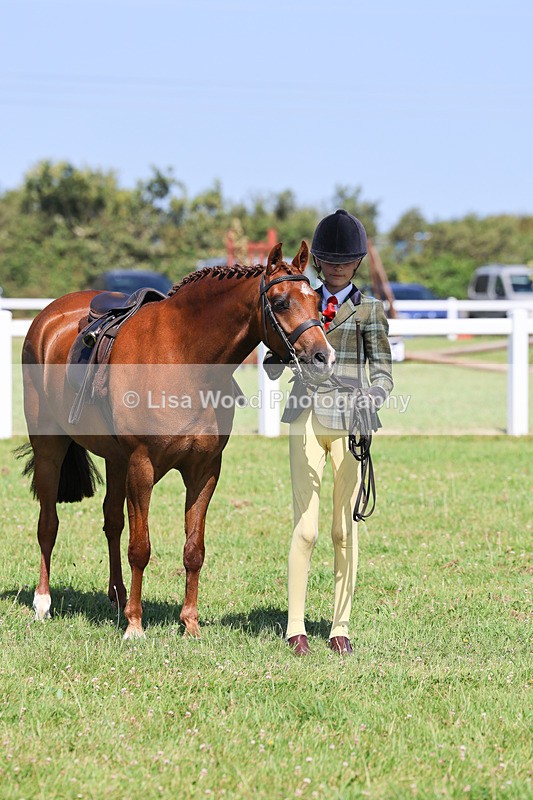IMG_2026 - Class 34: Show Hunter Pony 153cm and under