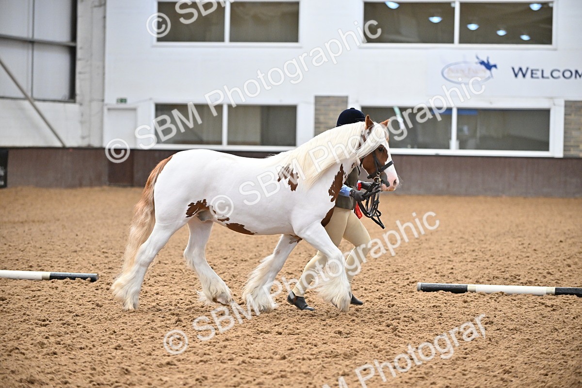 SBM_000053 - Class 1 - In Hand Cob