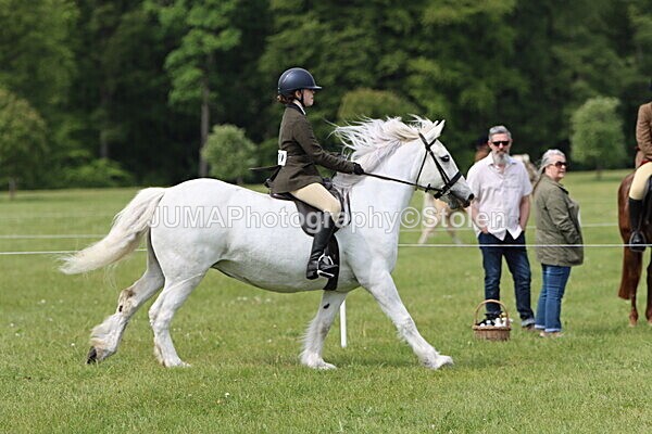 IMG_2708 - Working Hunter