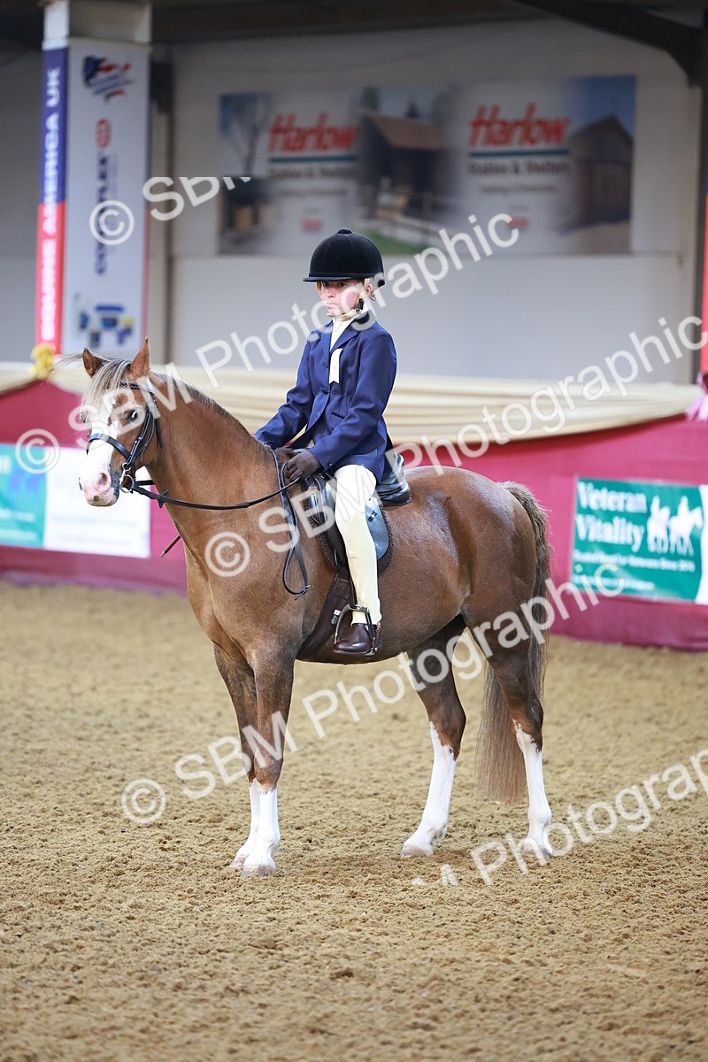 SBM_14597 - Class A - Junior Champ 10 year and Under
