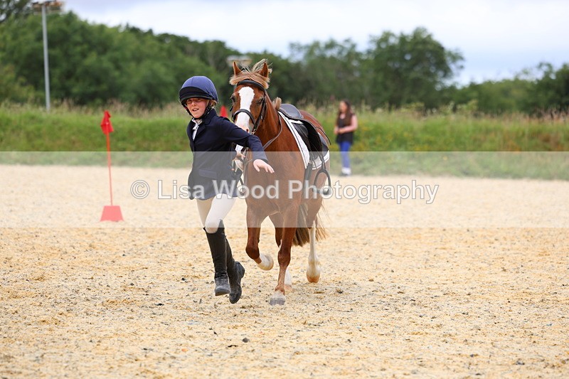 3E7A9665 - Walk trot run