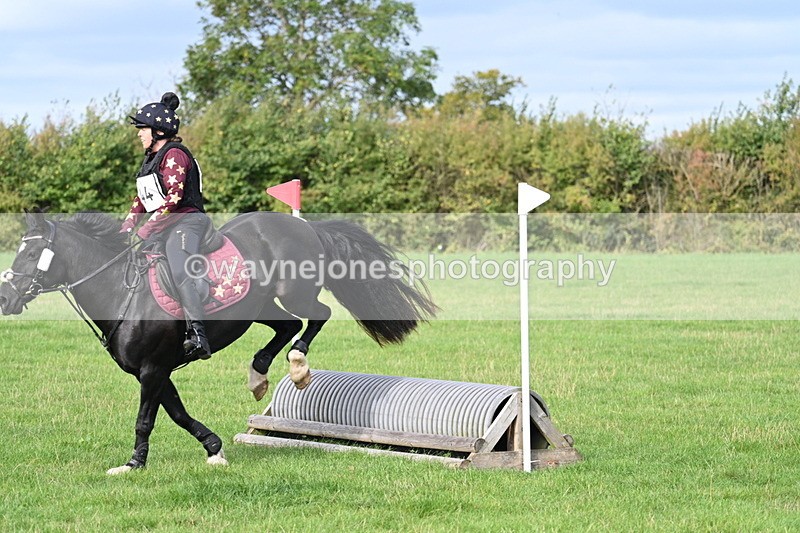 WJ7_8278 - 60cm Pairs