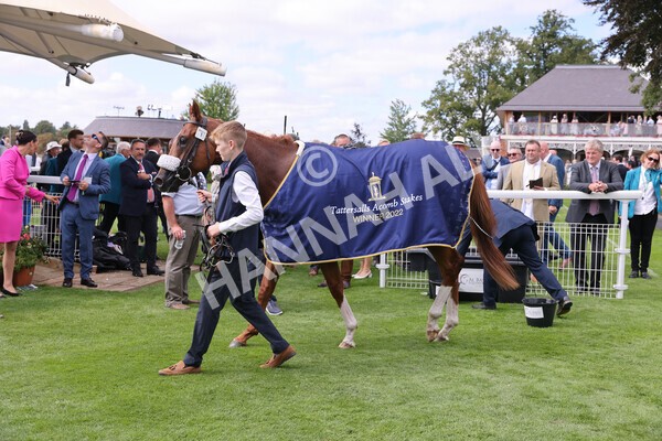 yr17082022r2-43 - Race 2 2.25pm Tattersalls Acomb Stakes