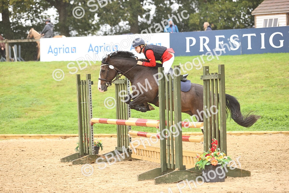 SBM_73436 - J19 - Junior Horse & Pony 90cm Supreme championship