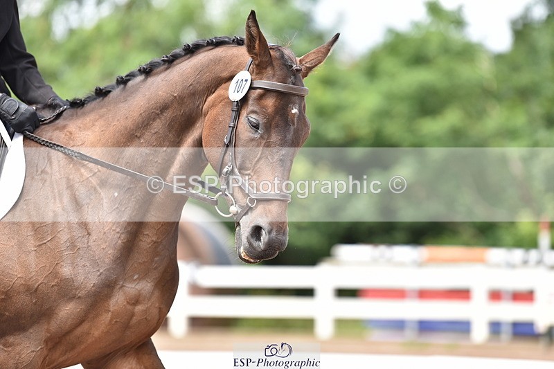 240706A-133946-02686 - Cls 4A Snr Novice 24