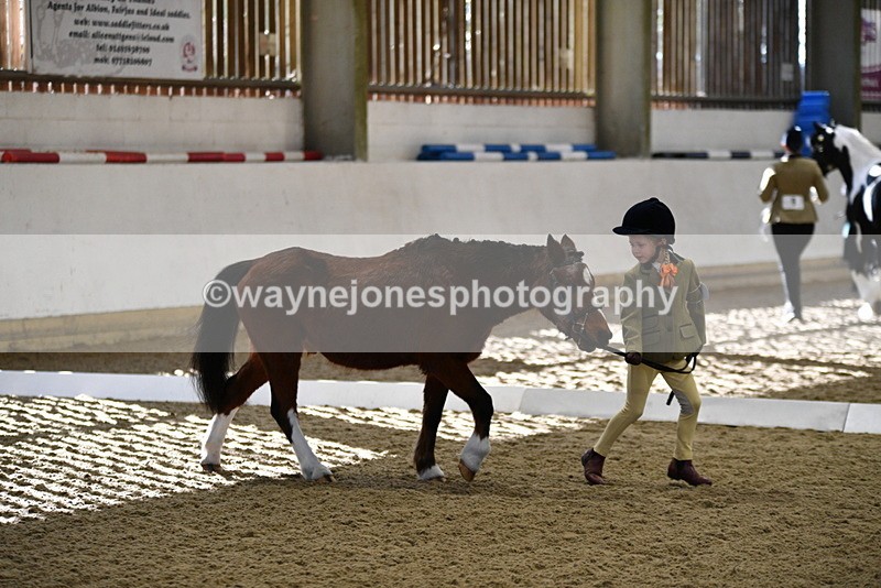 WJ5_3763 - Class 5 In Hand Veterans