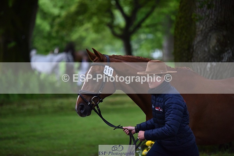 240522-164122-01082 - 216-I'M_A_WONDER-Rosie_Bradley-Hole