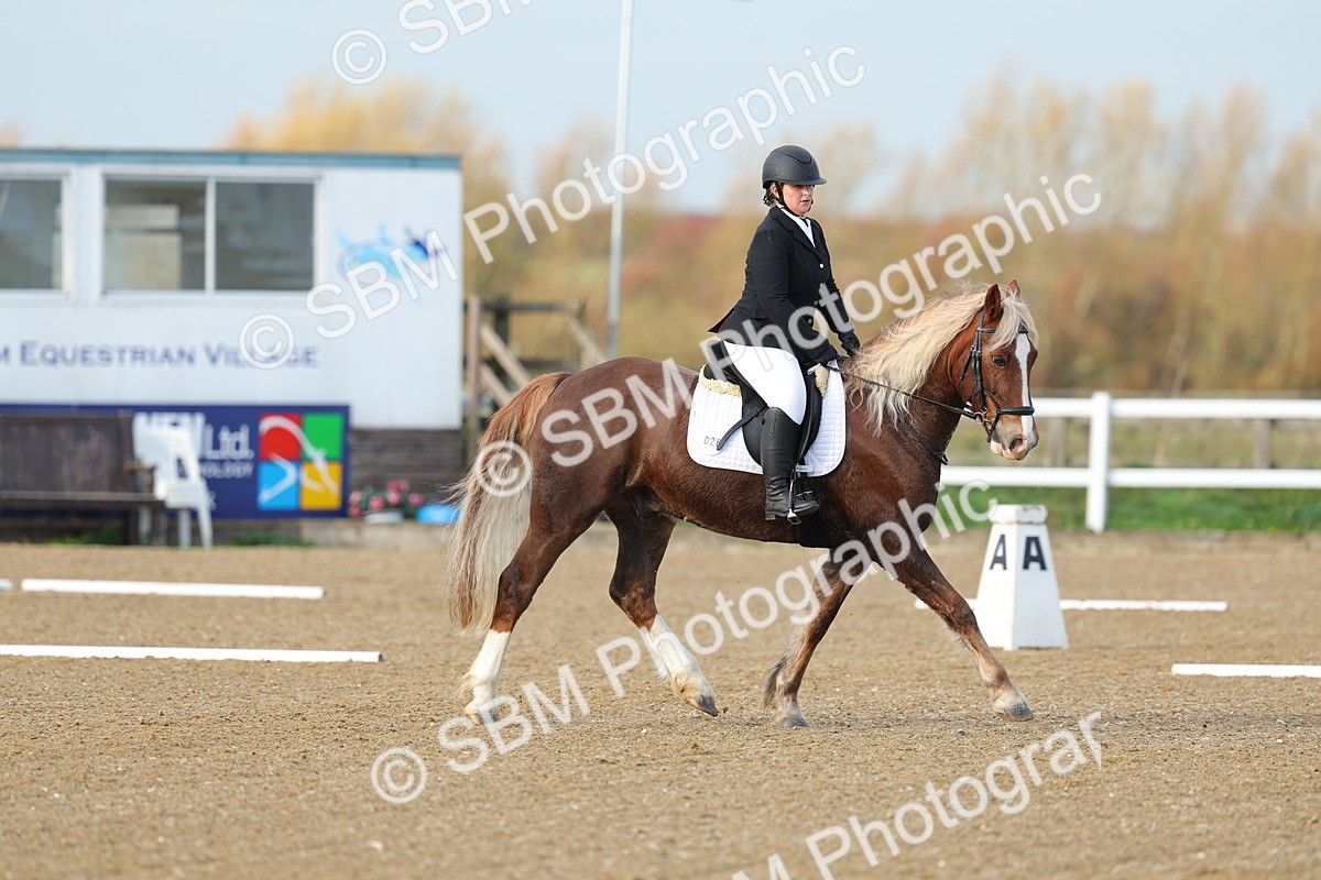 SBM_003080 - Class 2 - Intro 3