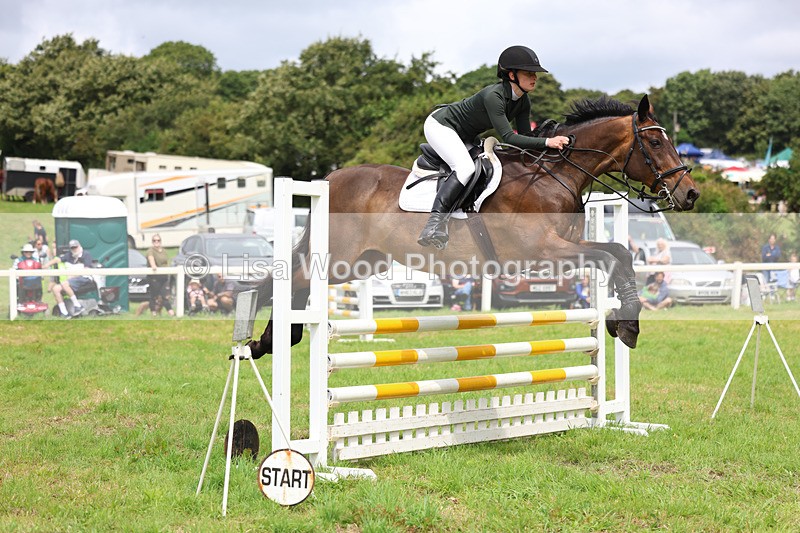 3E7A7305 - Class 5: Senior British Novice/90cm open