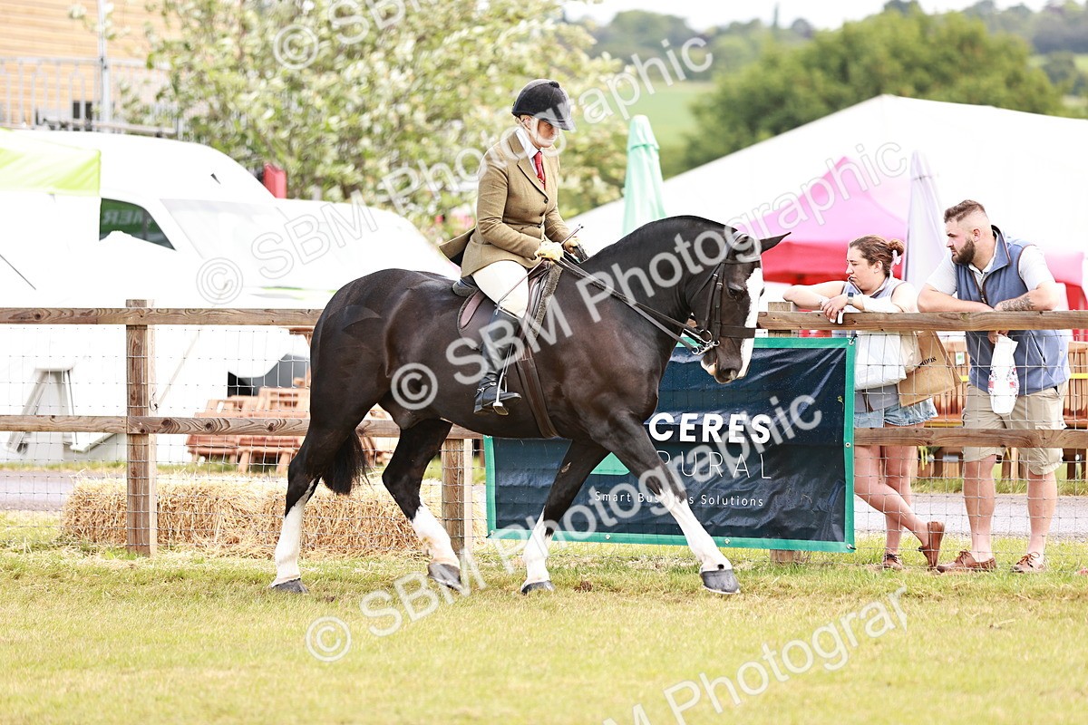 SBM_13072 - Class 85-87 - RIHS Cobs