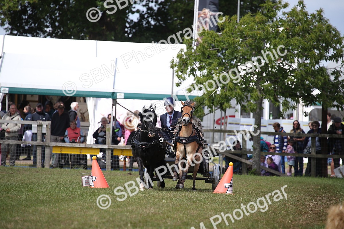 SBM_15313 - Class 90 - Scurry 122cm and Under