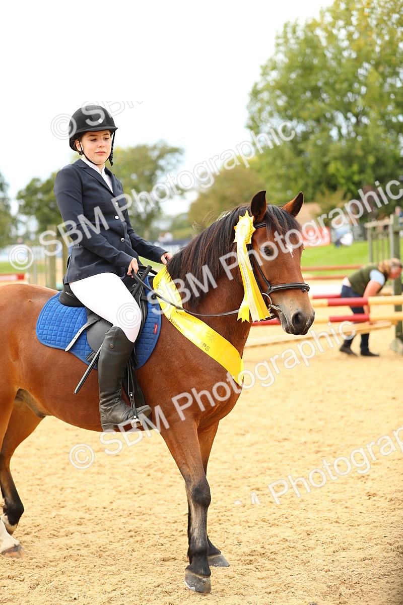 SBM_71297 - J18 - Junior Pony 85cm Championship