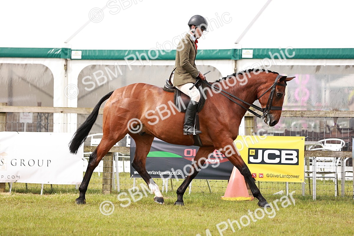 SBM_11530 - Class 81-84 - RIHS Ridden hunters Inc Ladies Hunter