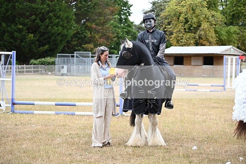 WJ6_9023 - Class 11 Fancy Dress