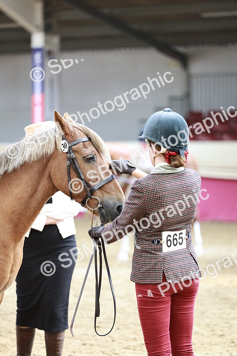 SBM_04776 - Class 7R - Regional IH Diamond