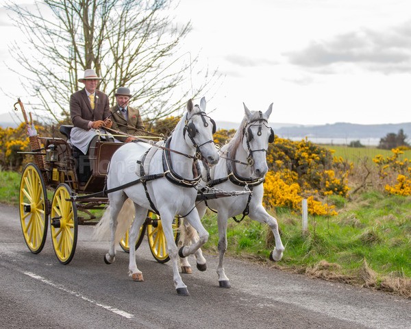 Troon Drive-221 - Troon Easter Monday Drive 2026