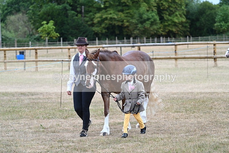 WJ7_8005 - Class 4 Prettiest Mare up to 14.2hh