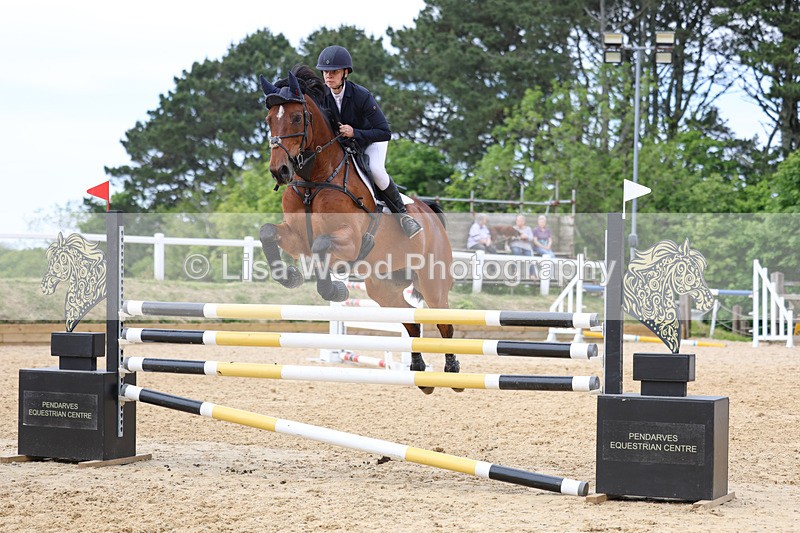 3E7A7614 - Class 8: Senior Foxhunter/1.20 open