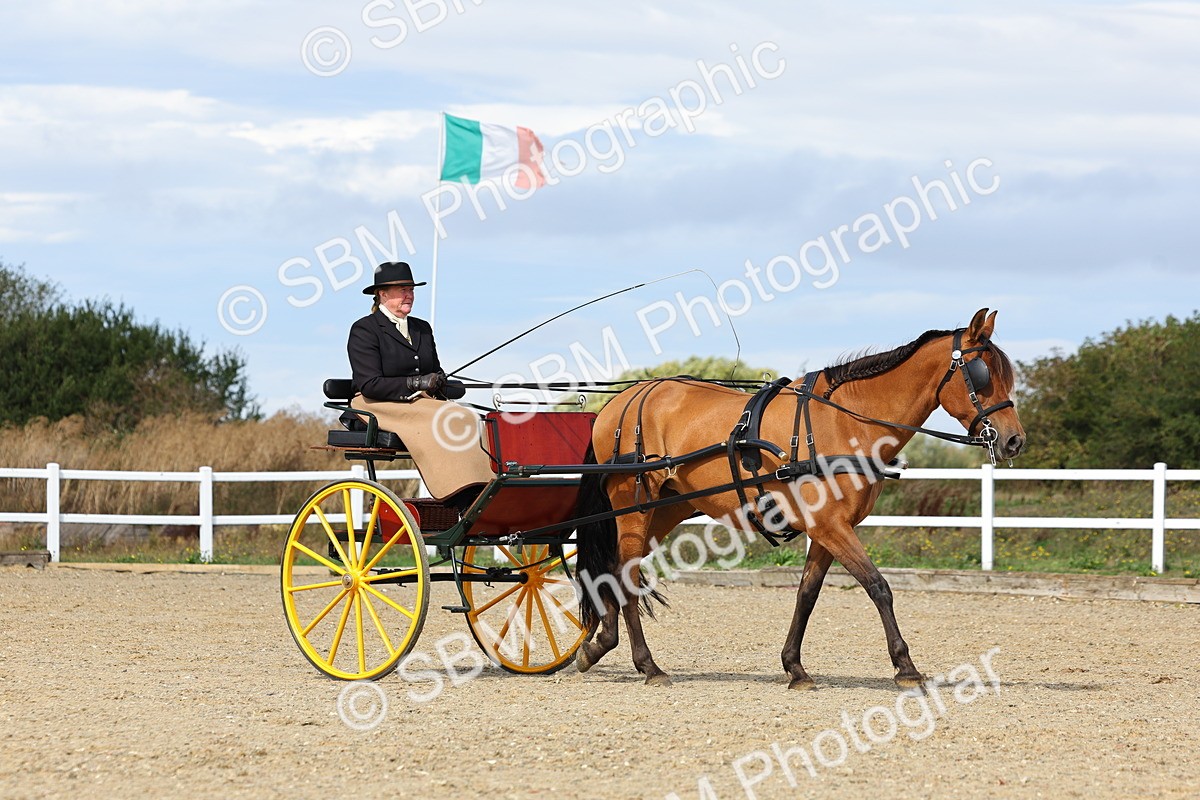 SBM_000866 - Class 8 - Novice Horse or Pony to any vehicle