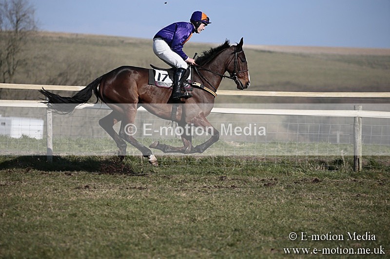 PtP 240218 340 - Vine & Craven Hunt Point-to-Point Barbury racecourse 24/02/18