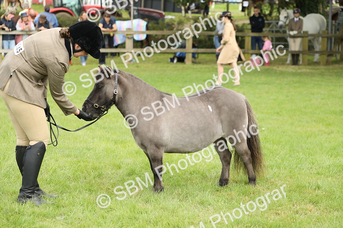 SBM_62793 - S46 - Mountain & Moorland In Hand Small Breeds