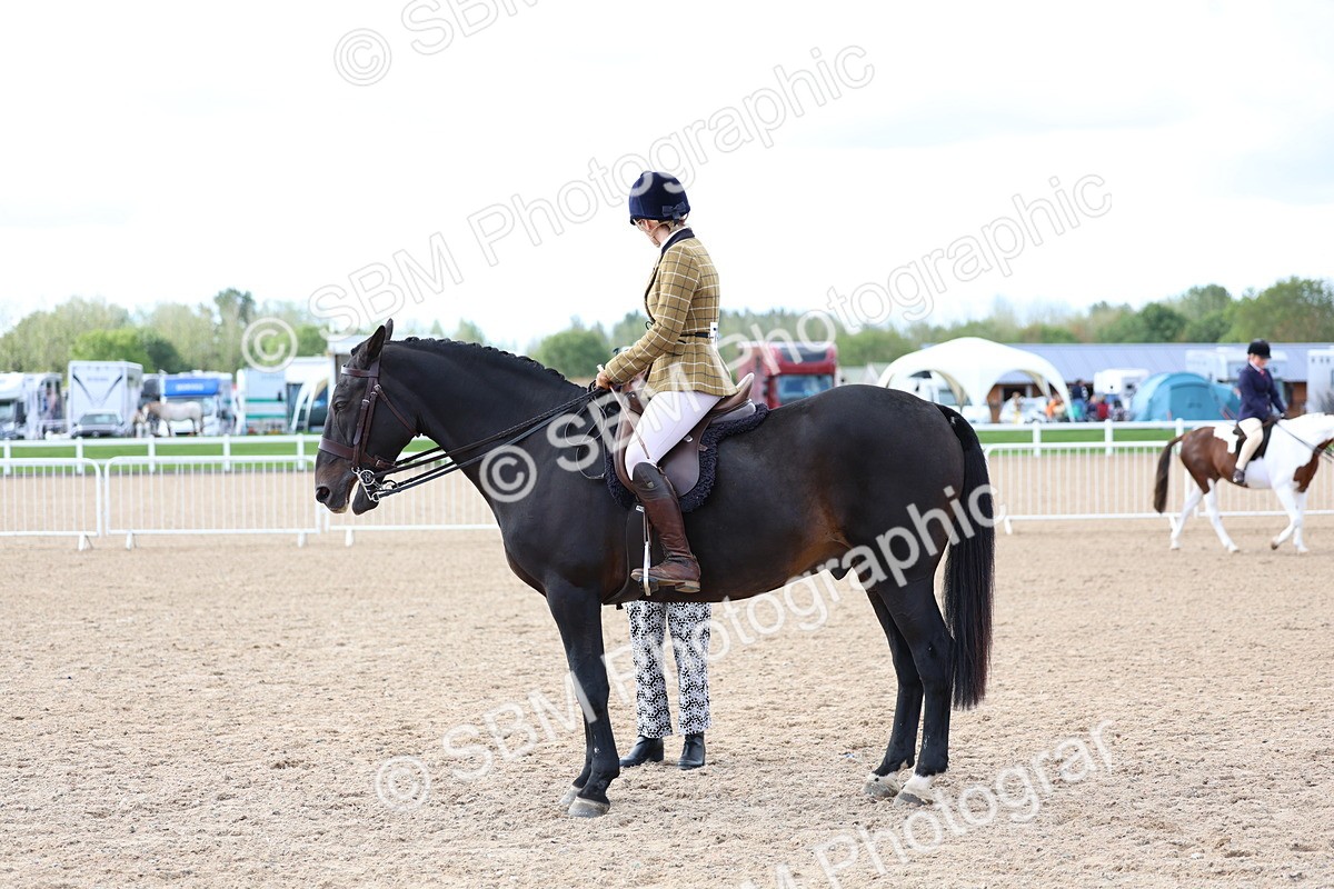 SBM_10075 - Class 304 - Ridden Part Bred Horse Pony