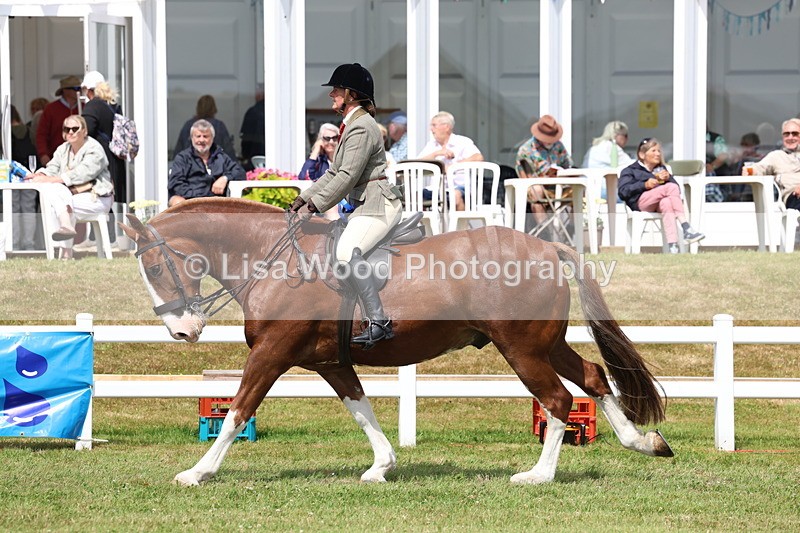 3E7A0571 - Rising Star Ridden Championship