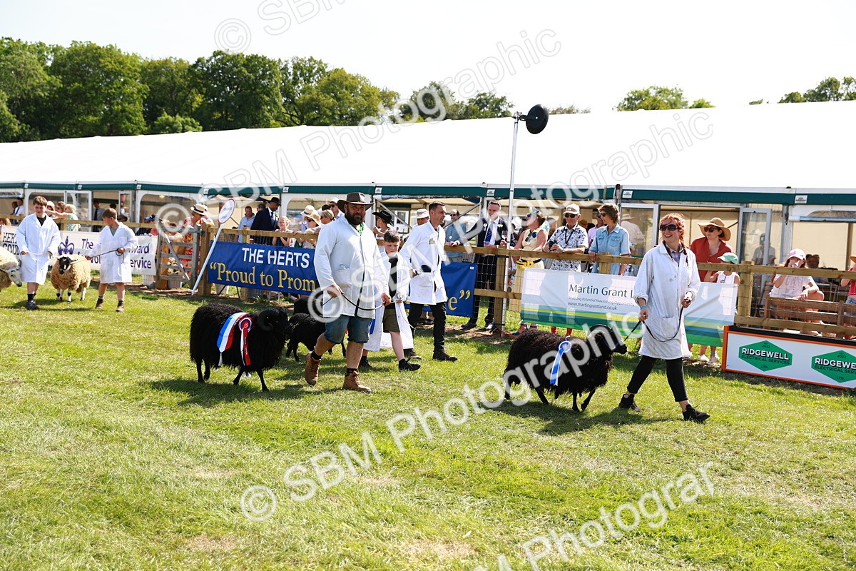 SBM_08383 - Grand Parade