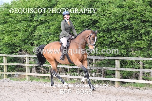 BPP_6968 - RING 1  (RIDDEN HORSES / IN HAND / VETERAN ETC)