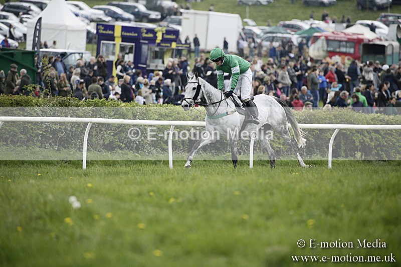 PtP 170417 105 - Old Berks Point-to-Point Lockinge 17/04/17