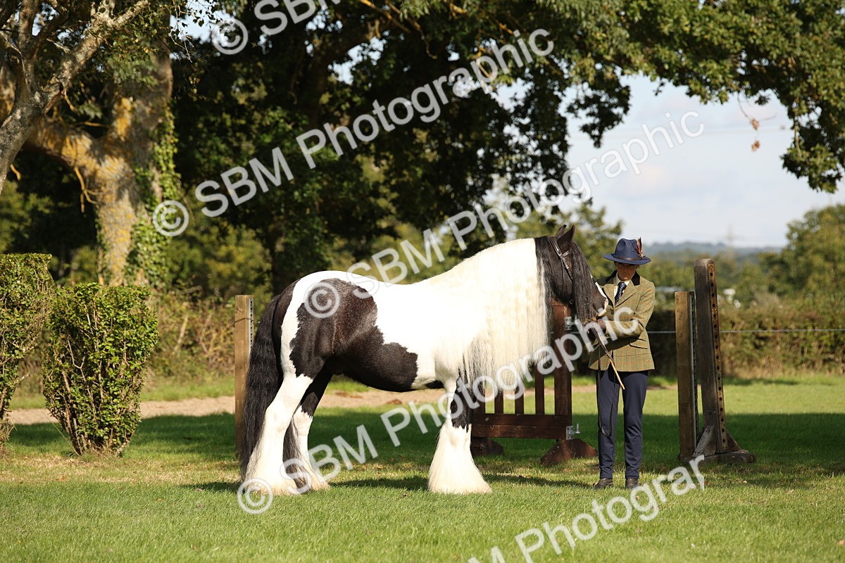 SBM_62212 - S55 - Traditional Cob In Hand