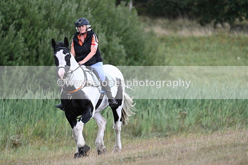 WJ7_5332 - Time 11:22 to 11:41