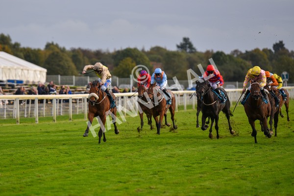 131023-Race 5-Irish Nectar-9668 - Race 5 4.25pm Parsonage Hotel And Cloisters Spa Nursery Handicap