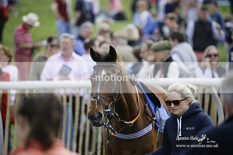 PtP 180422 38 - Old Berkshire PtP Lockinge 18/04/22