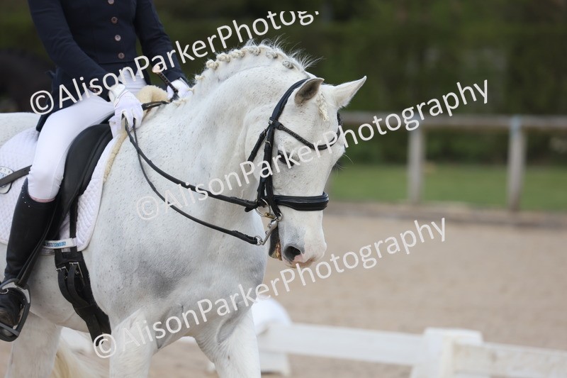 20260405-0841 - Class 9 - Advanced Medium 3