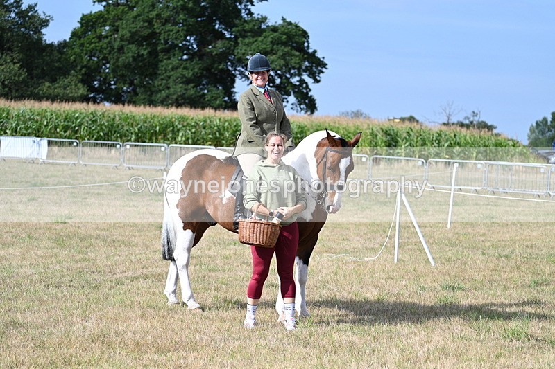 WJ7_2622 - Class 8 Ridden Tack & Turnout