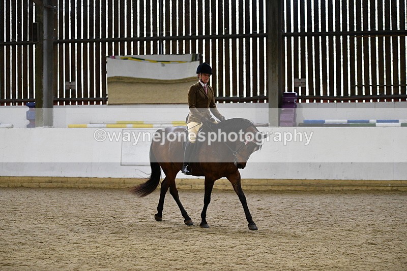 WJ5_8921 - Class 15 Ridden Show Horse