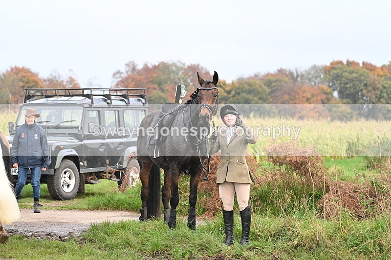 WJ7_0528 - Camera 1 & Last fence