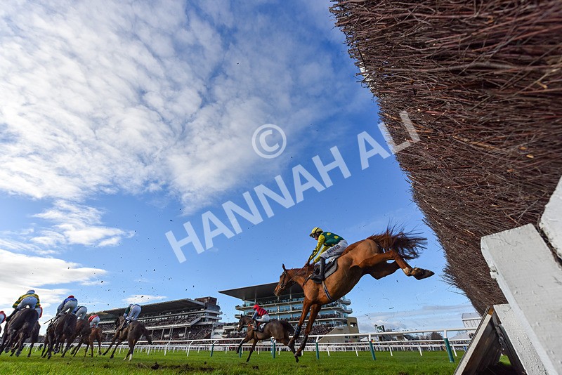 141224-Race 3-Eximia-9350 - Race 3
